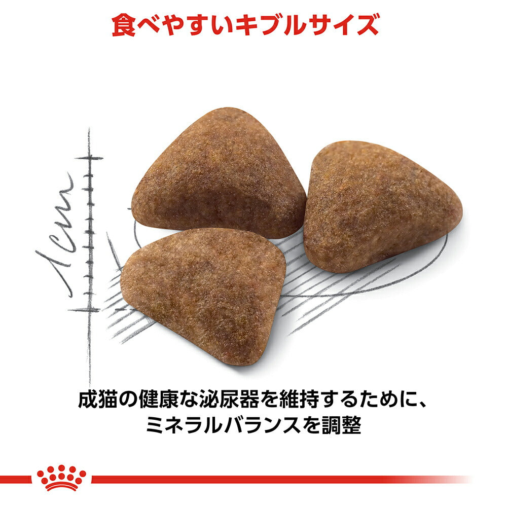 ロイヤルカナン FHN インドア 室内で生活する成猫用 生後12ヵ月齢から7歳まで 4kg (猫・キャット)[正規品]