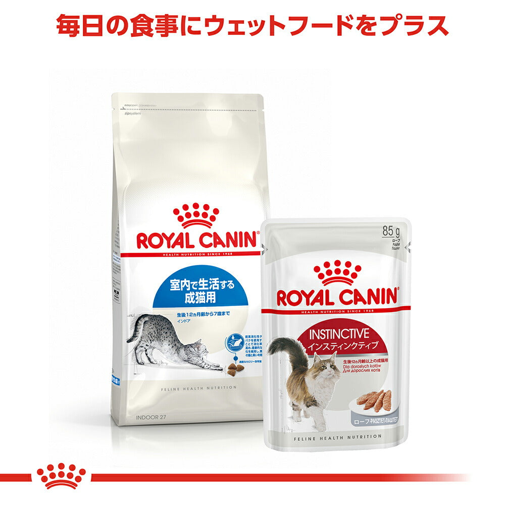ロイヤルカナン FHN インドア 室内で生活する成猫用 生後12ヵ月齢から7歳まで 4kg (猫・キャット)[正規品]