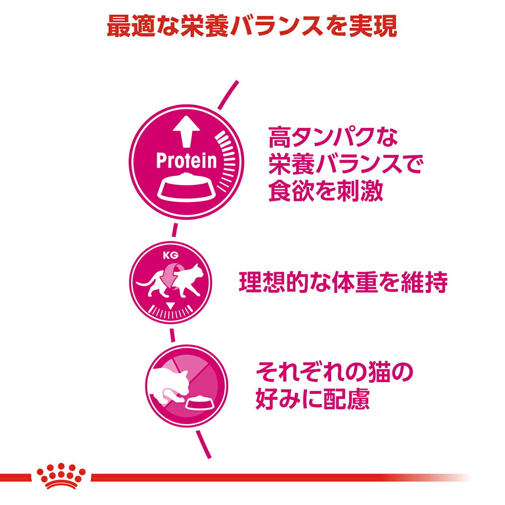 【400g×3袋】ロイヤルカナン FHN プロテイン エクシジェント 食事にこだわりがある成猫用 生後12ヵ月齢から12歳まで (猫・キャット)[正規品]