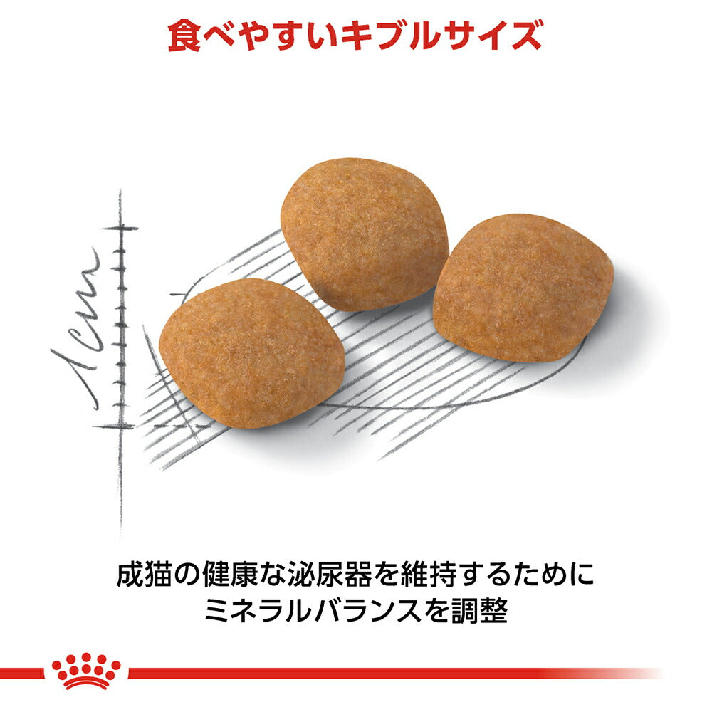 ロイヤルカナン FHN プロテイン エクシジェント 食事にこだわりがある成猫用 生後12ヵ月齢から12歳まで 2kg (猫・キャット)[正規品]