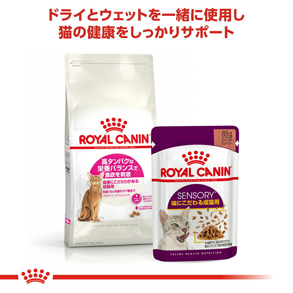 ロイヤルカナン FHN プロテイン エクシジェント 食事にこだわりがある成猫用 生後12ヵ月齢から12歳まで 2kg (猫・キャット)[正規品]