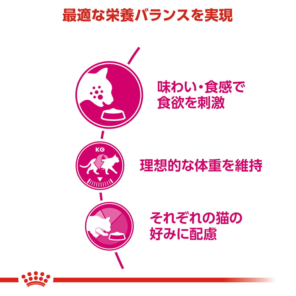 【2kg×4袋】ロイヤルカナン FHN セイバー エクシジェント 食事にこだわりがある成猫用 生後12ヵ月齢から12歳まで (猫・キャット)[正規品]