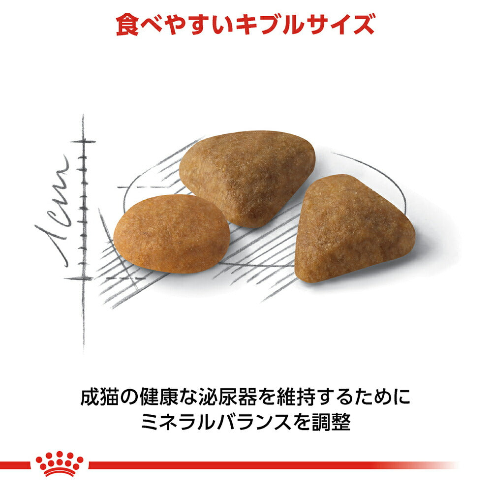 ロイヤルカナン FHN セイバー エクシジェント 食事にこだわりがある成猫用 生後12ヵ月齢から12歳まで 400g (猫・キャット)[正規品]