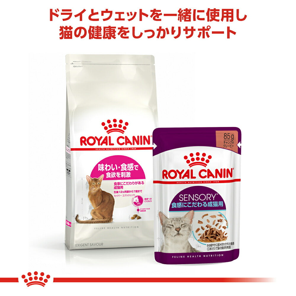 ロイヤルカナン FHN セイバー エクシジェント 食事にこだわりがある成猫用 生後12ヵ月齢から12歳まで 2kg (猫・キャット)[正規品]