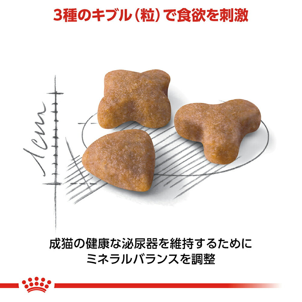 ロイヤルカナン FHN センシブル 食が細くやせ気味の成猫用 生後12ヵ月齢から12歳まで 2kg (猫・キャット)[正規品]