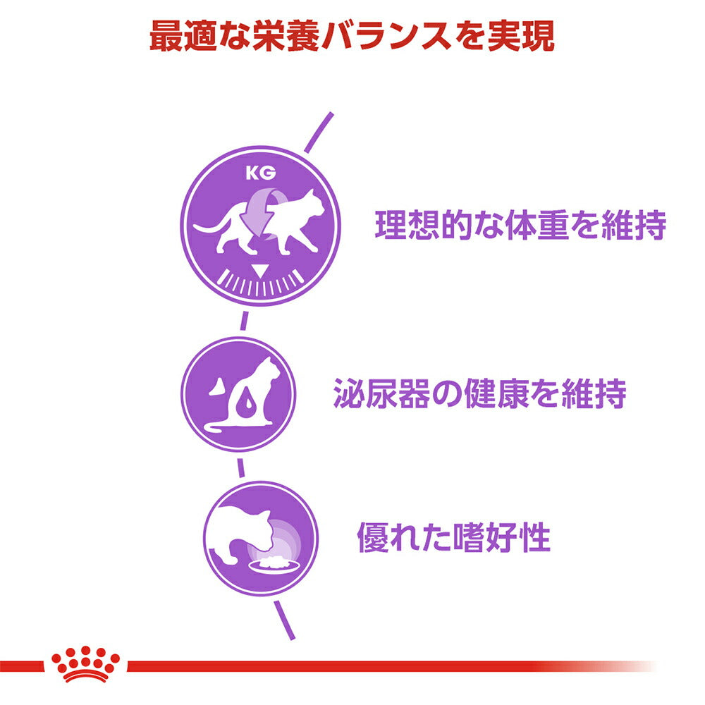 【400g×12袋】ロイヤルカナン FHN ステアライズド 避妊・去勢 成猫用 生後12ヵ月齢以上 (猫・キャット)[正規品]