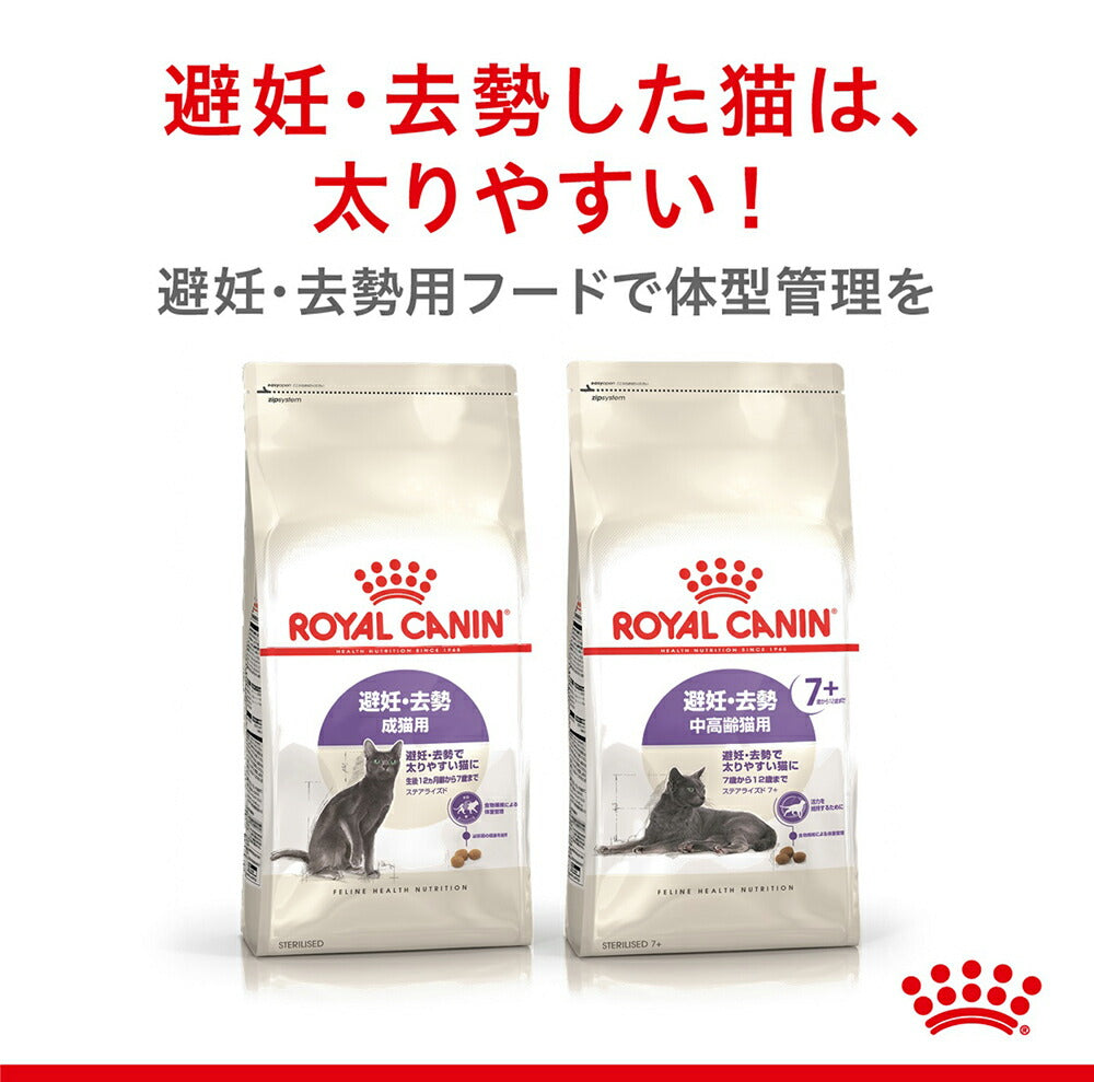 【2kg×2袋】ロイヤルカナン FHN ステアライズド 避妊・去勢 成猫用 生後12ヵ月齢以上 (猫・キャット)[正規品]