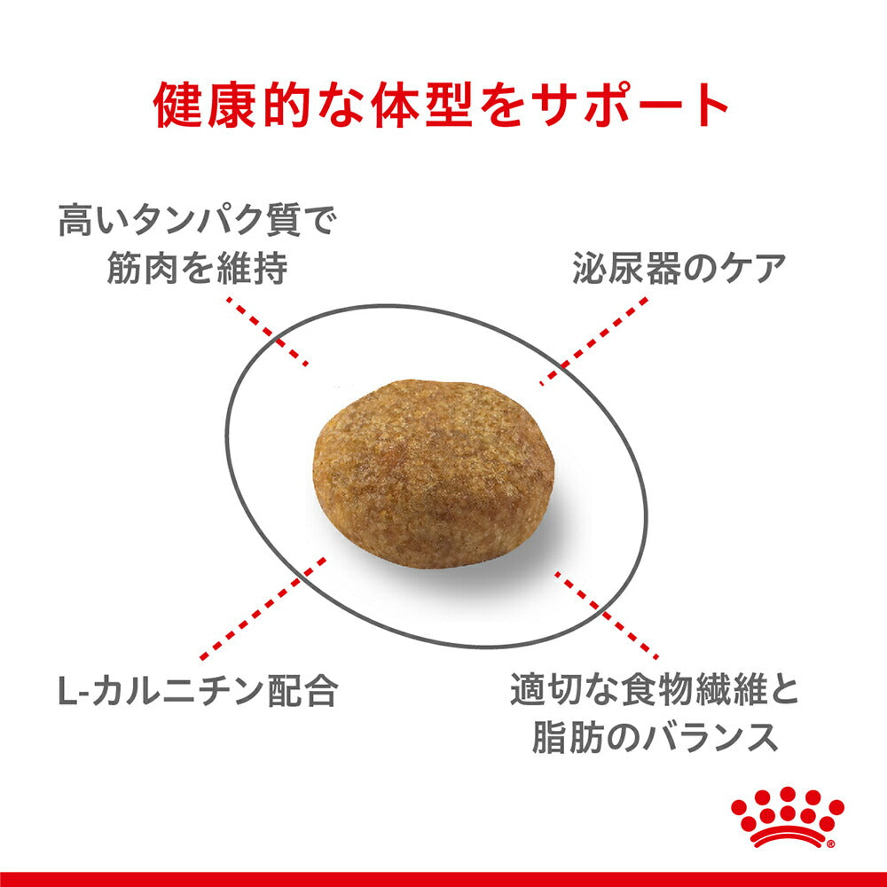 【2kg×2袋】ロイヤルカナン FHN ステアライズド 避妊・去勢 成猫用 生後12ヵ月齢以上 (猫・キャット)[正規品]
