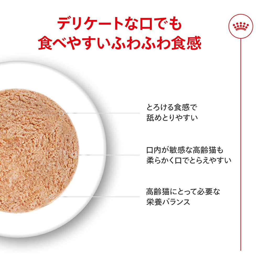 【85g×12缶】ロイヤルカナン FHN-WET エイジング 11+ ウルトラ ソフト ムース 高齢猫用 11歳以上 (猫・キャット)[正規品]