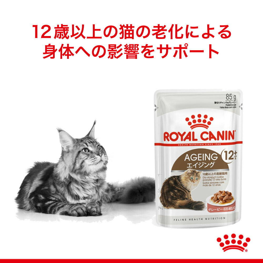 【85g×48袋】ロイヤルカナン FHN-WET エイジング 12+ グレービー 高齢猫用 12歳以上 パウチ (猫・キャット)[正規品]