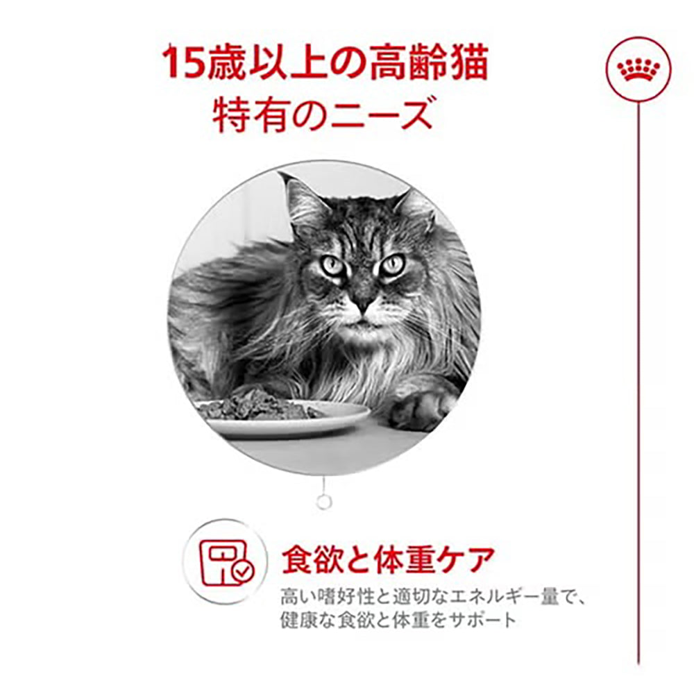 【メール便】【85g×6袋】ロイヤルカナン FHN-WET エイジング 15+ グレービー 高齢猫用 15歳以上 パウチ (猫・キャット)[正規品]