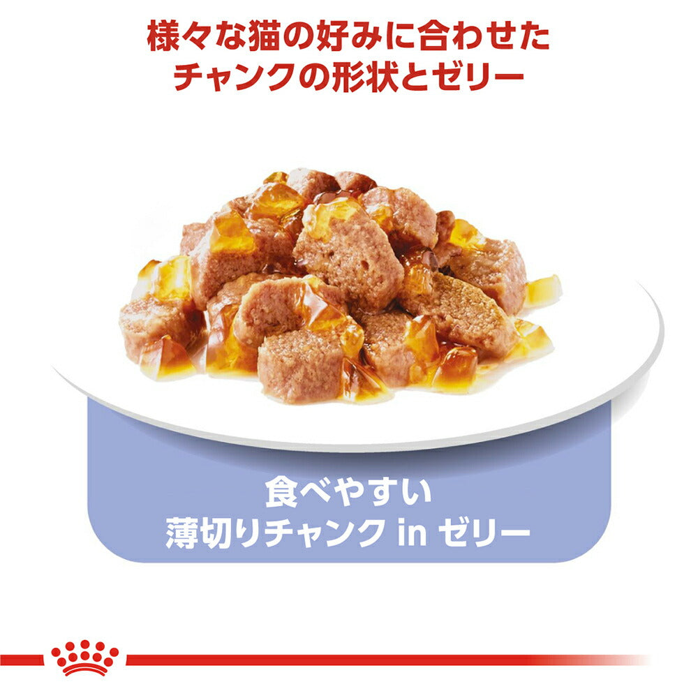 85g×12袋】ロイヤルカナン FHN-WET インドア 7+ ゼリー 室内で生活する