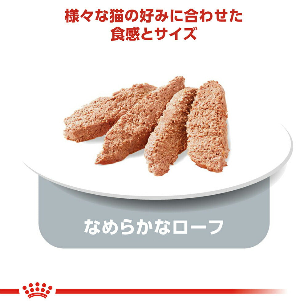 【85g×12袋】ロイヤルカナン FHN-WET インドア 7+ ローフ 室内で生活する中・高齢猫用 ７歳以上 パウチ (猫・キャット)[正規品]