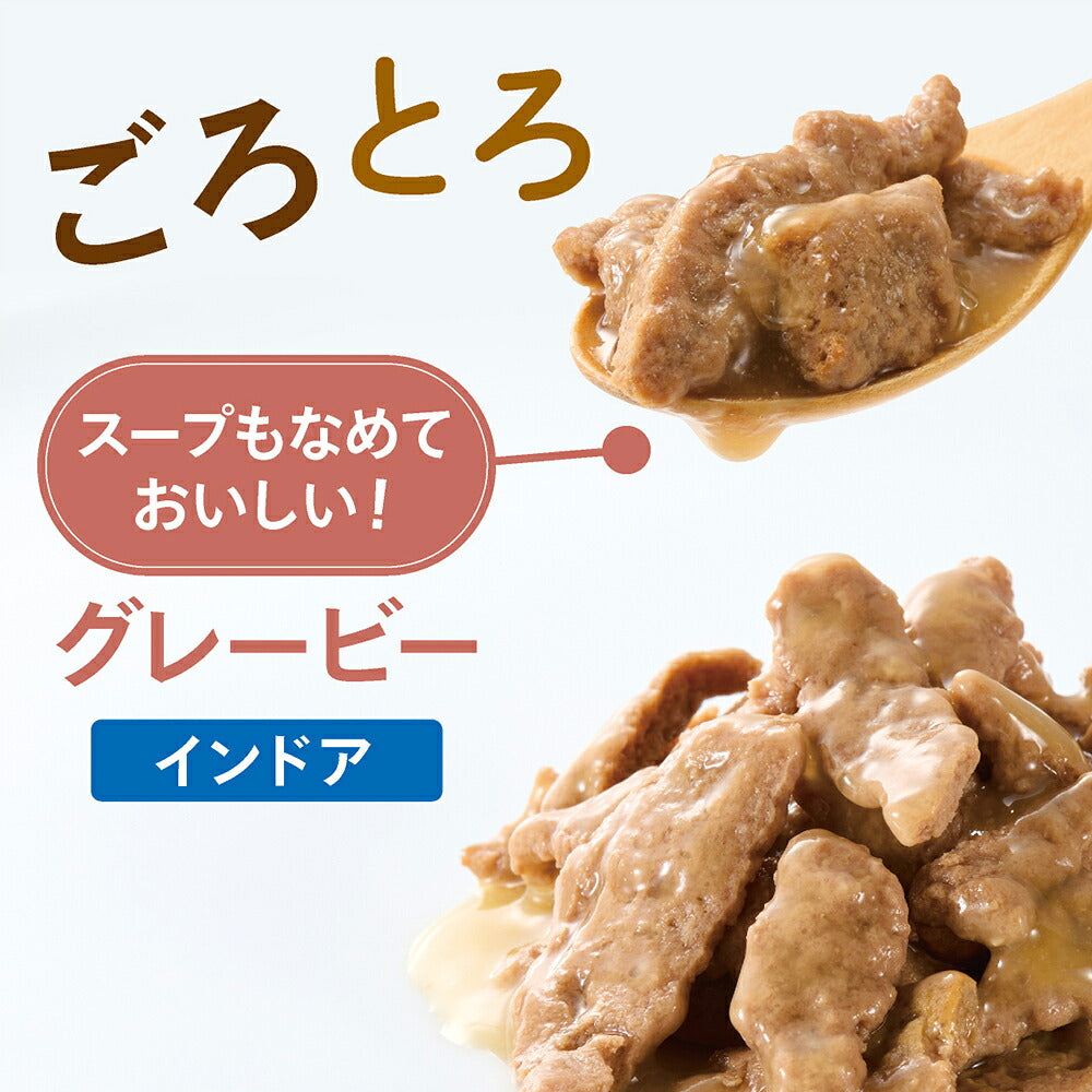 【50g×6袋】ロイヤルカナン FHN-WET インドア グレービー 室内で生活する成猫用 生後12ヵ月齢以上 使い切りサイズ パウチ (猫・キャット)[正規品]