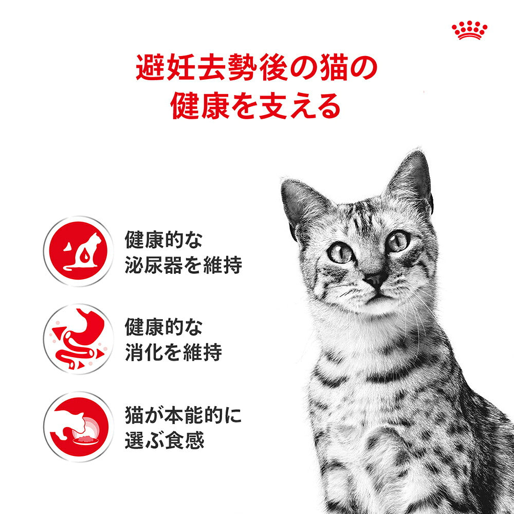 【50g×6袋】ロイヤルカナン FHN-WET インドア グレービー 室内で生活する成猫用 生後12ヵ月齢以上 使い切りサイズ パウチ (猫・キャット)[正規品]