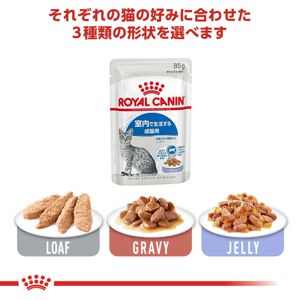 【85g×48袋】ロイヤルカナン FHN-WET インドア グレービー 室内で生活する成猫用 生後12ヵ月齢以上 パウチ (猫・キャット)[正規品]