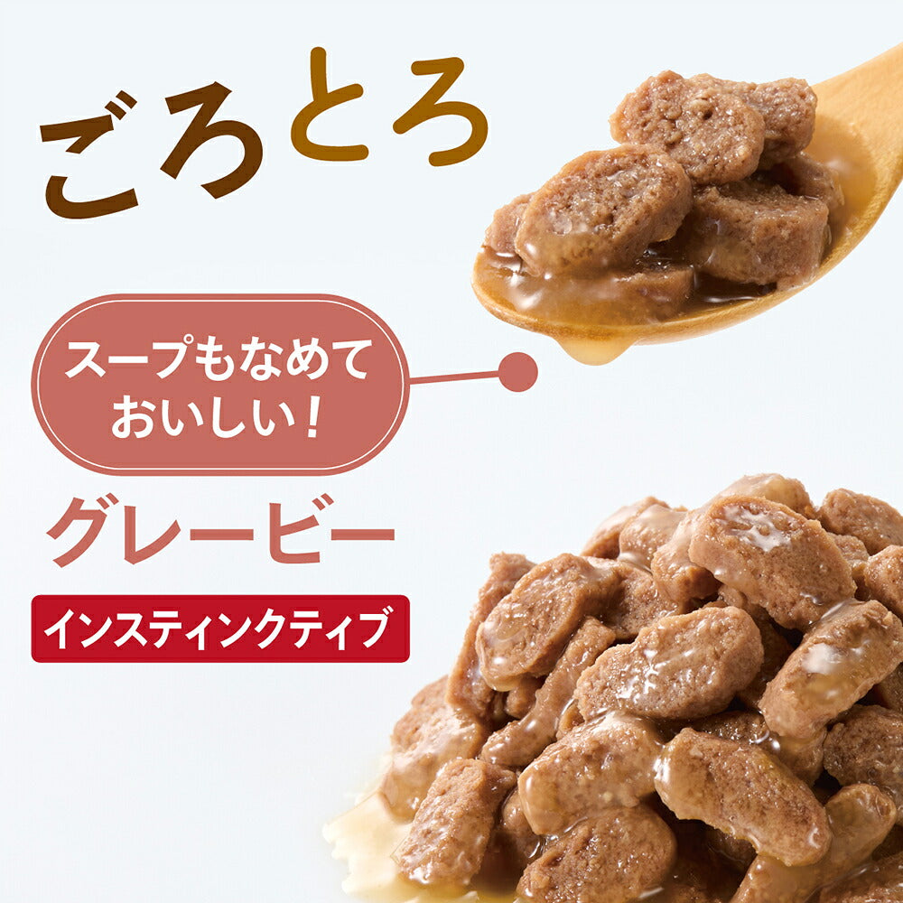 【50g×6袋】ロイヤルカナン FHN-WET インスティンクティブ グレービー 健康的な成猫用 生後12ヵ月齢以上 使い切りサイズ パウチ (猫・キャット)[正規品]