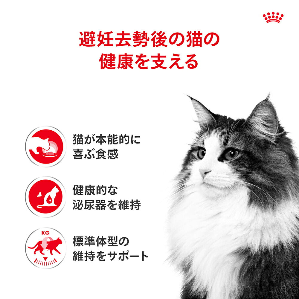 【50g×6袋】ロイヤルカナン FHN-WET インスティンクティブ グレービー 健康的な成猫用 生後12ヵ月齢以上 使い切りサイズ パウチ (猫・キャット)[正規品]