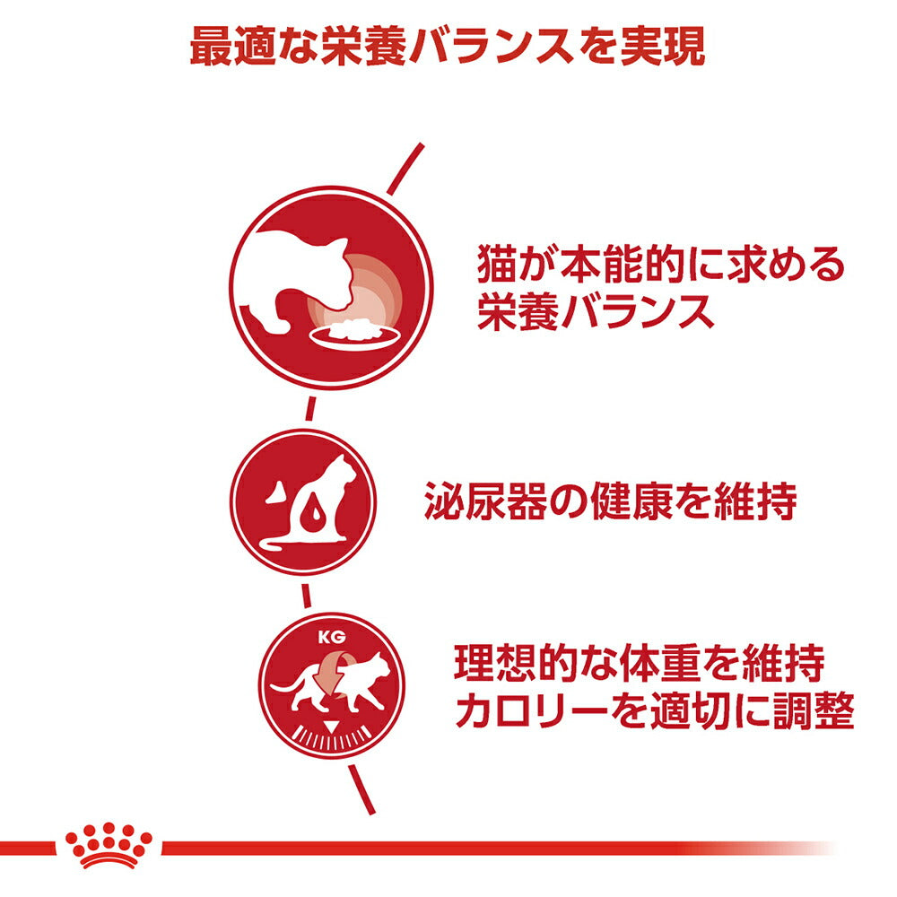 【50g×6袋】ロイヤルカナン FHN-WET インスティンクティブ グレービー 健康的な成猫用 生後12ヵ月齢以上 使い切りサイズ パウチ (猫・キャット)[正規品]