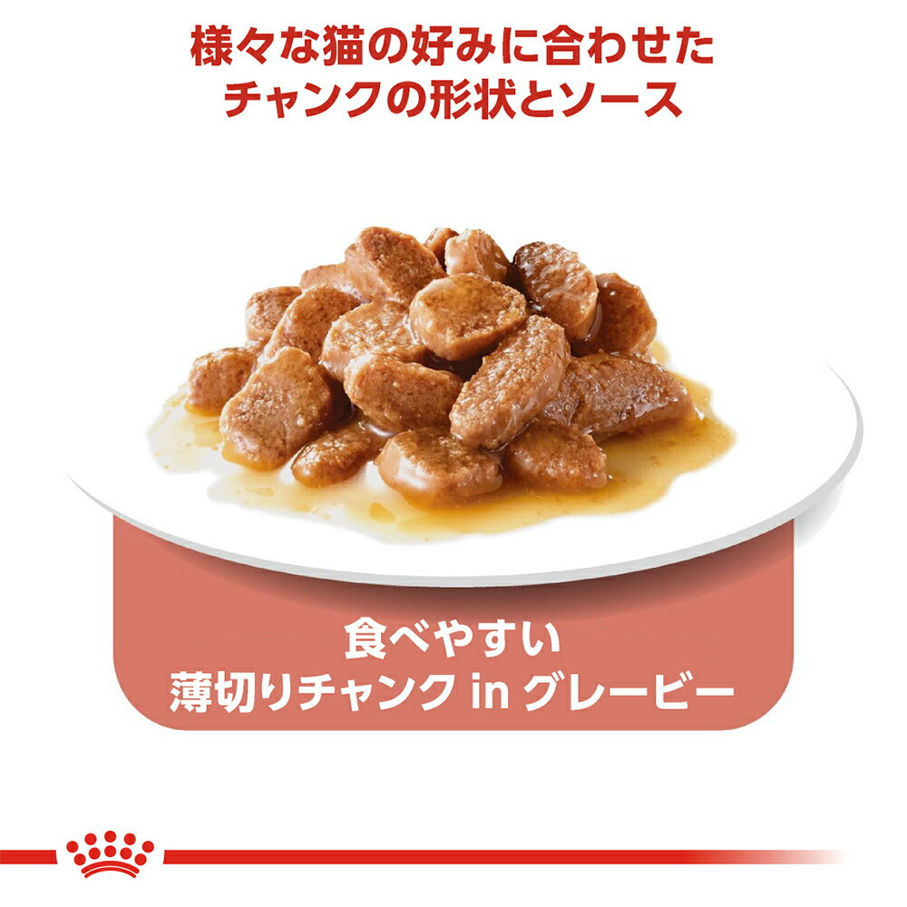 【メール便】【85g×6袋】ロイヤルカナン FHN-WET インスティンクティブ グレービー 健康的な成猫用 生後12ヵ月齢以上 パウチ (猫・キャット)[正規品]