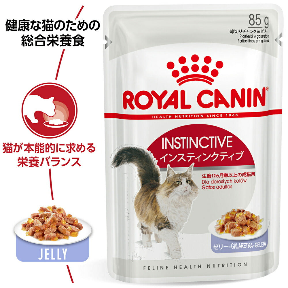 【85g×48袋】ロイヤルカナン FHN-WET インスティンクティブ ゼリー 健康的な成猫用 生後12ヵ月齢以上 パウチ (猫・キャット)[正規品]