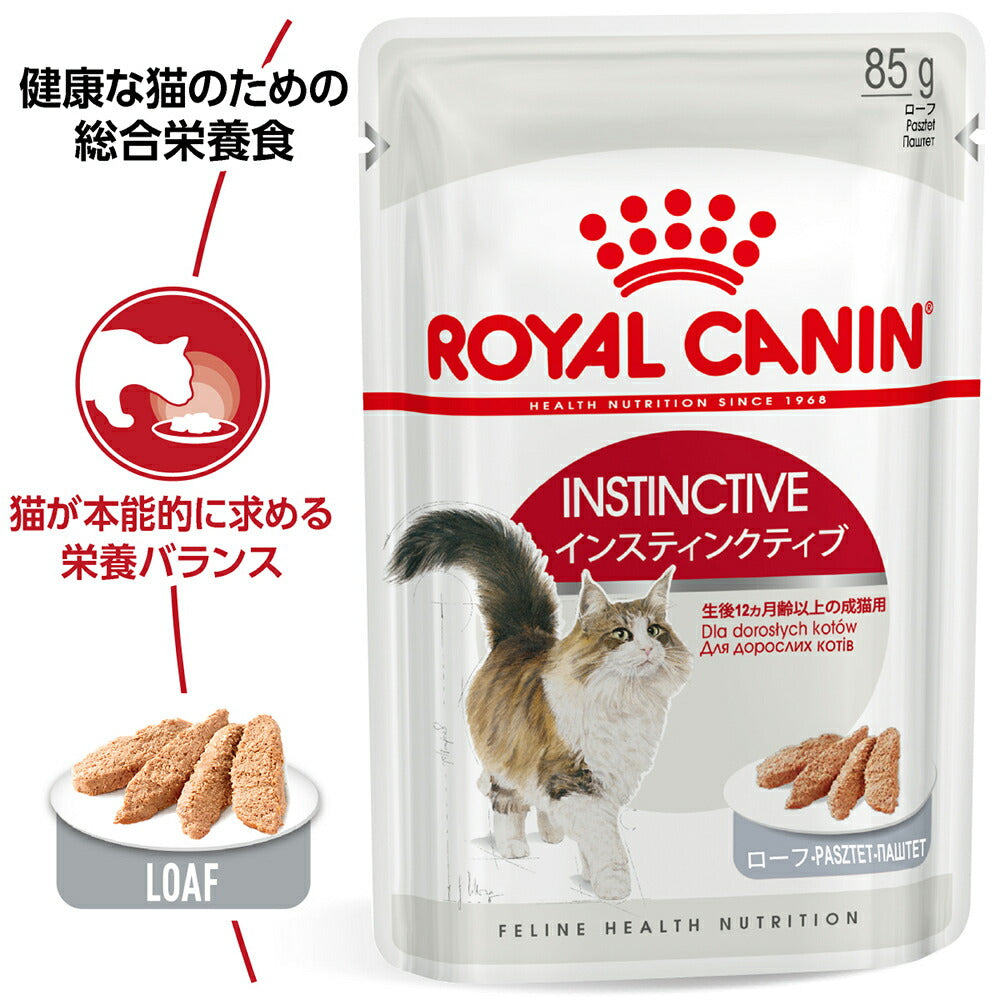 【メール便】【85g×6袋】ロイヤルカナン FHN-WET インスティンクティブ ローフ 健康的な成猫用 生後12ヵ月齢以上 パウチ (猫・キャット)[正規品]