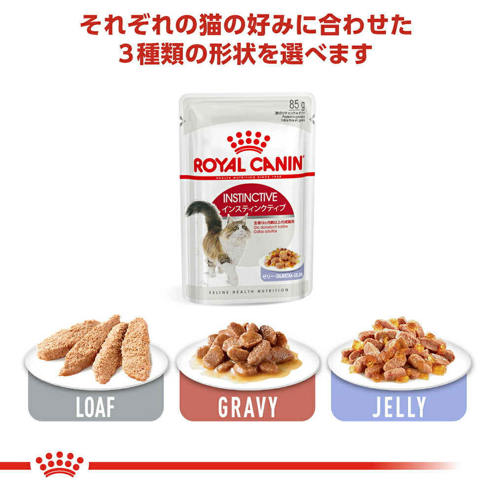 【メール便】【85g×6袋】ロイヤルカナン FHN-WET インスティンクティブ ローフ 健康的な成猫用 生後12ヵ月齢以上 パウチ (猫・キャット)[正規品]