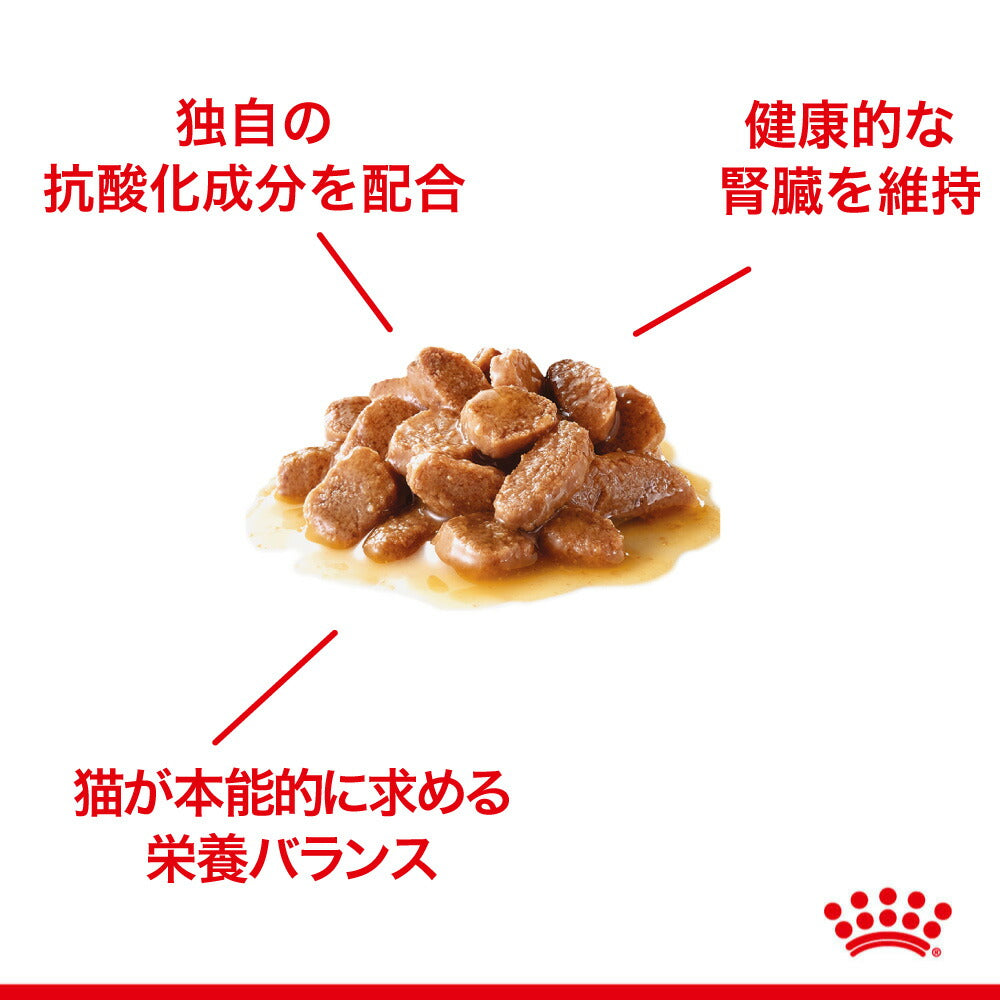 【メール便】【85g×6袋】ロイヤルカナン FHN-WET インスティンクティブ ７+ グレービー 中・高齢猫用 7歳以上 パウチ (猫・キャット)[正規品]