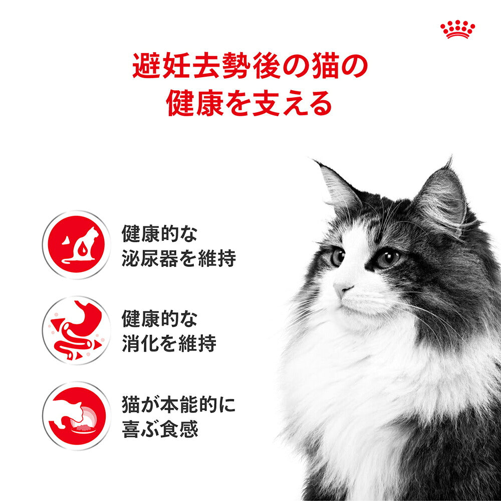 【50g×6袋】ロイヤルカナン FHN-WET ステアライズド グレービー 避妊・去勢 成猫用 生後12ヵ月齢以上 使い切りサイズ パウチ (猫・キャット)[正規品]