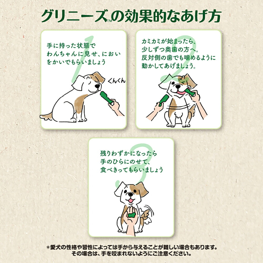 グリニーズプラス 成犬用 超小型犬用ミニ 体重1.3-4kg 60本入 (犬・ドッグ) [正規品]