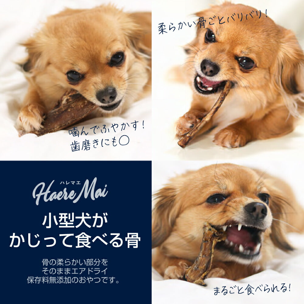 ハレマエ Haere Mai チキン・ネック 鶏のネック 50g (犬猫兼用)[正規品]