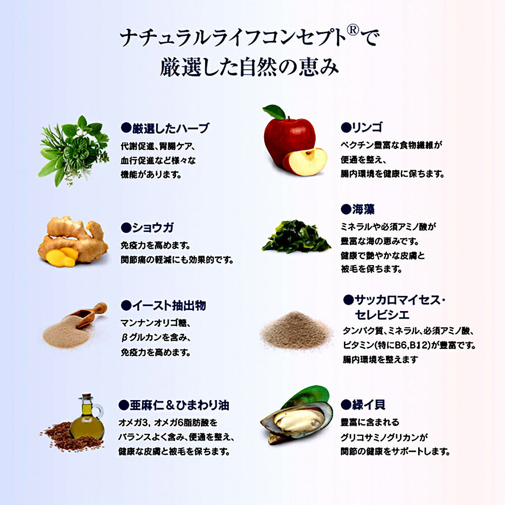 【メール便】HAPPY CAT ケア スキン＆コート 皮膚被毛ケア 成猫～シニア猫用 50g (猫・キャット)[正規品][M便 1/10]