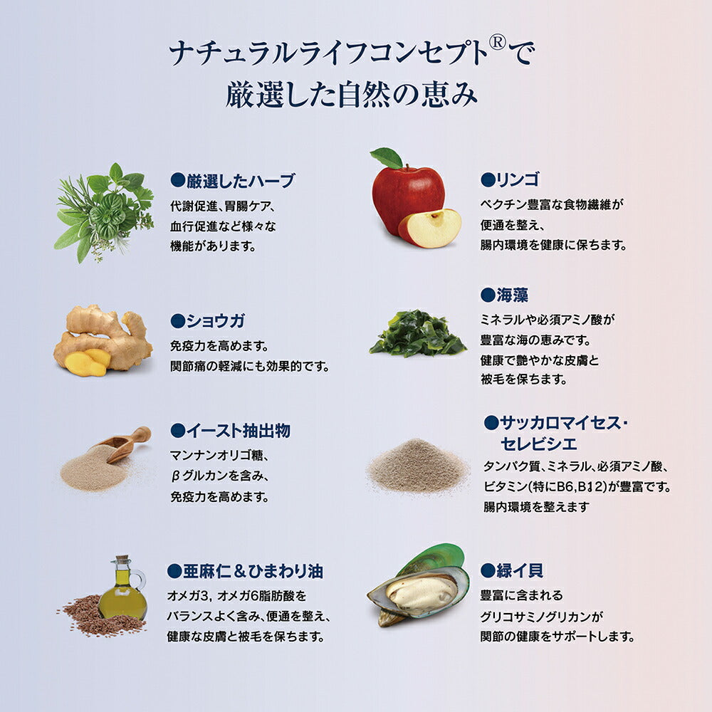 HAPPY DOG ミニ センシブル パピー ラム&ライス 小型犬 子犬用 4kg (犬・ドッグ)[正規品]