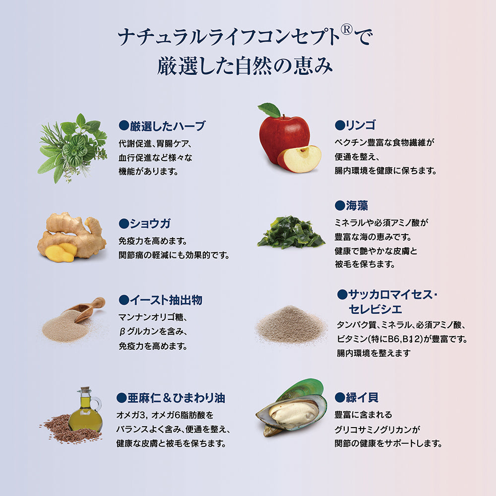 [賞味期限2026/3/12]【メール便】HAPPY DOG センシブル ニュージーランド 消化器ケア 中・大型犬 成犬～シニア犬用 80g (犬・ドッグ)[正規品][M便 1/5]