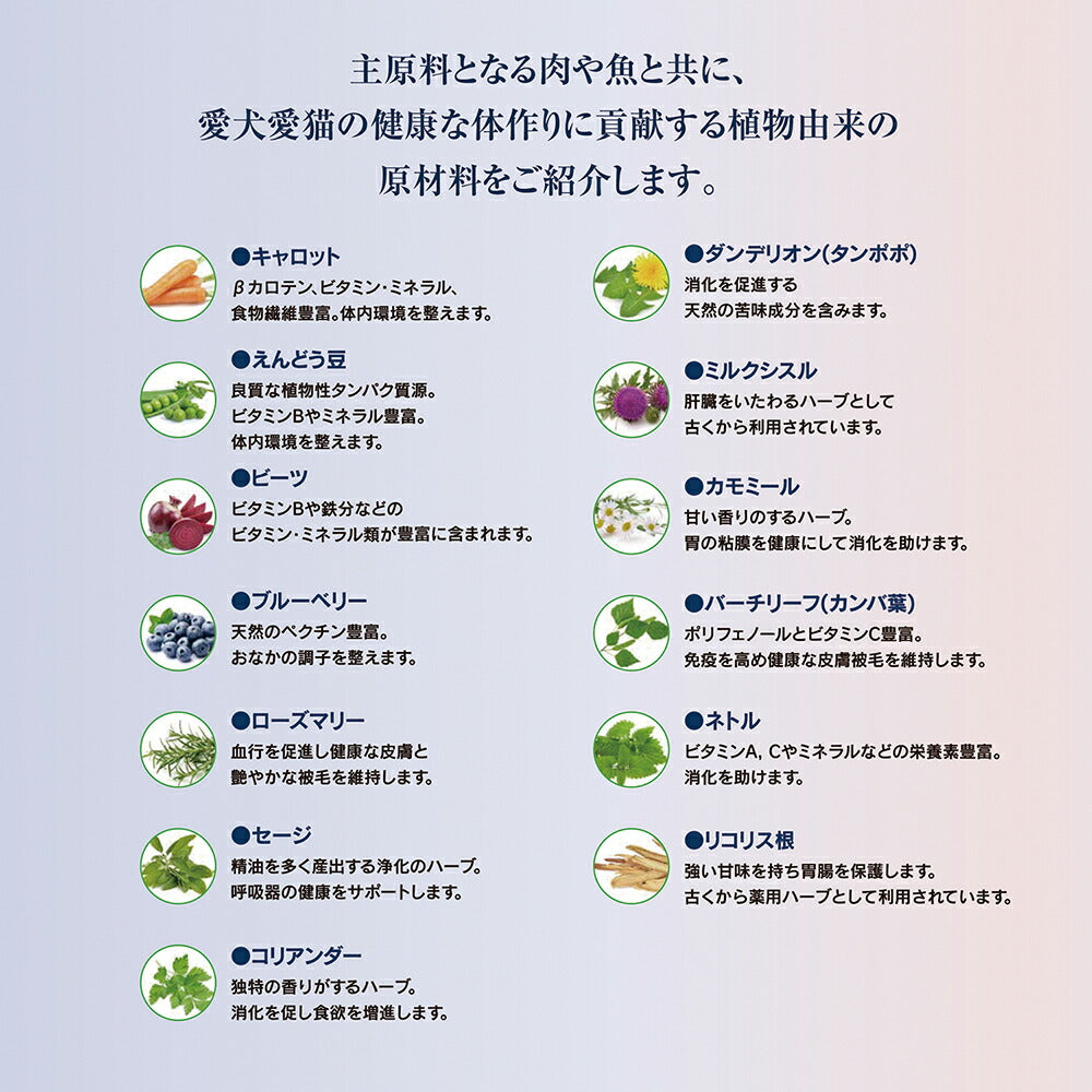 【メール便】【80g×4袋】HAPPY DOG フィット&バイタル シニア 中・大型犬 高齢犬用(犬・ドッグ)[正規品]