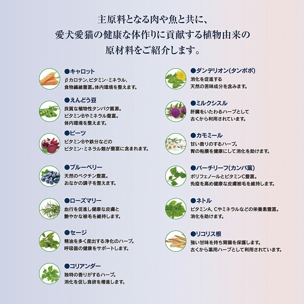 HAPPY DOG ヤング ジュニア 中・大型犬 7ヶ月以降の子犬用 ラム&ライス 1kg (犬・ドッグ)[正規品]