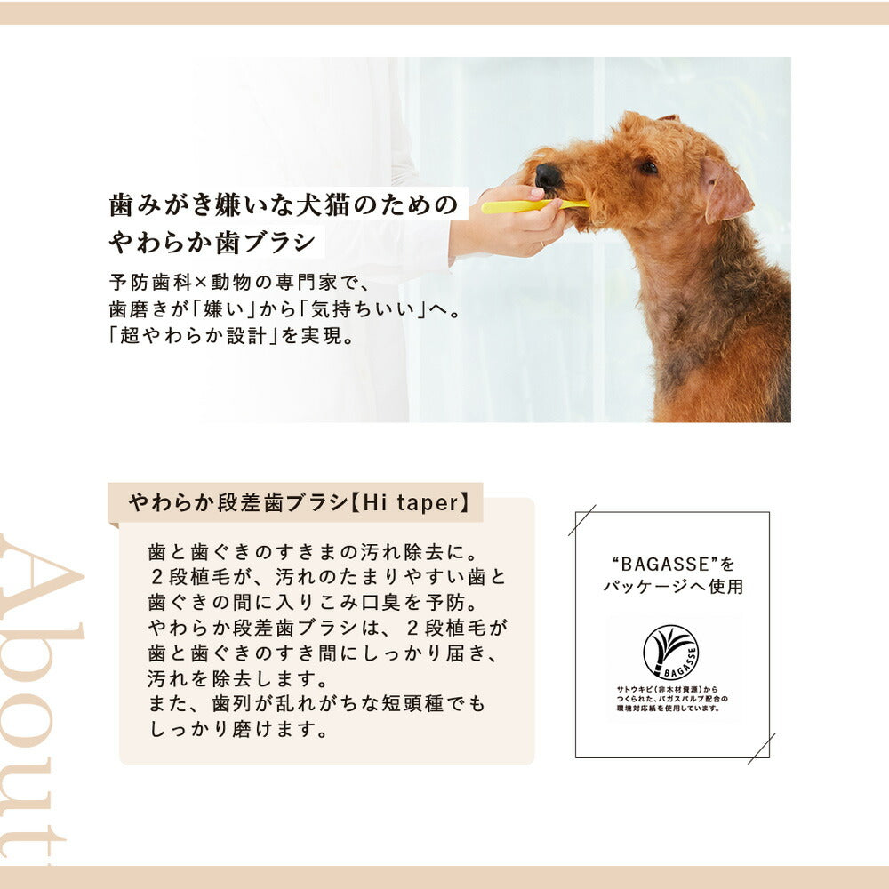 【メール便】たかくら新産業 made of Organics やわらか段差歯ブラシ Hi taper M 全犬種用 (犬・ドッグ)[M便 1/6]