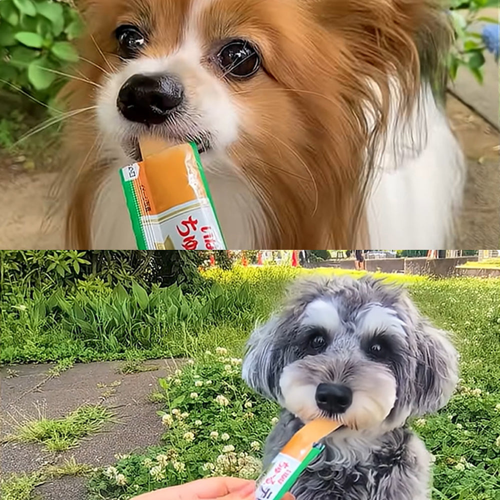 【(15g×18本)×8袋】いなば ちゅ〜るテリーヌ 総合栄養食タイプ ささみ・チーズバラエティ (犬・ドッグ)