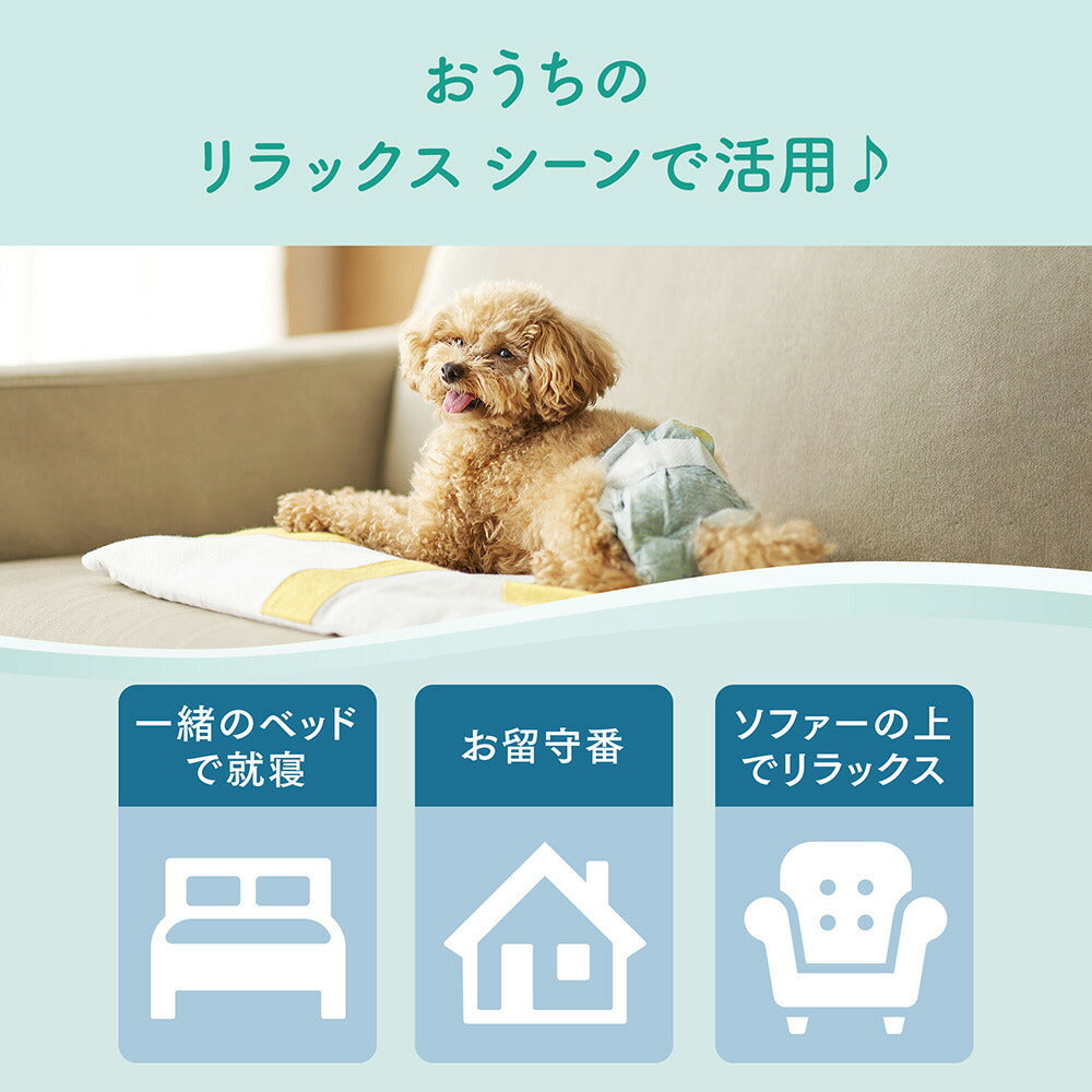 キミおもい リラックスウェア M テープタイプ 34枚 男の子 女の子 共用 おむつ (犬・ドッグ)