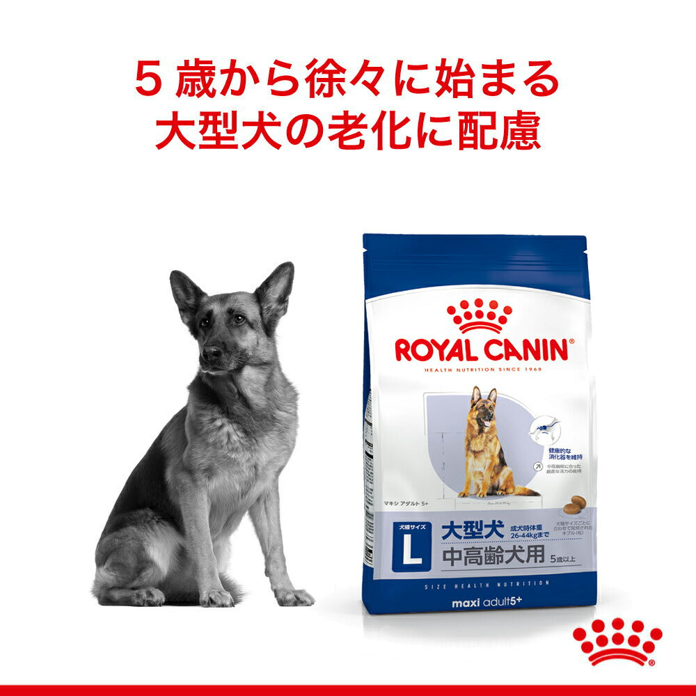 ロイヤルカナン SHN マキシ アダルト 5＋ 大型犬 中・高齢犬用 5歳以上 15kg (犬・ドッグ)[正規品]