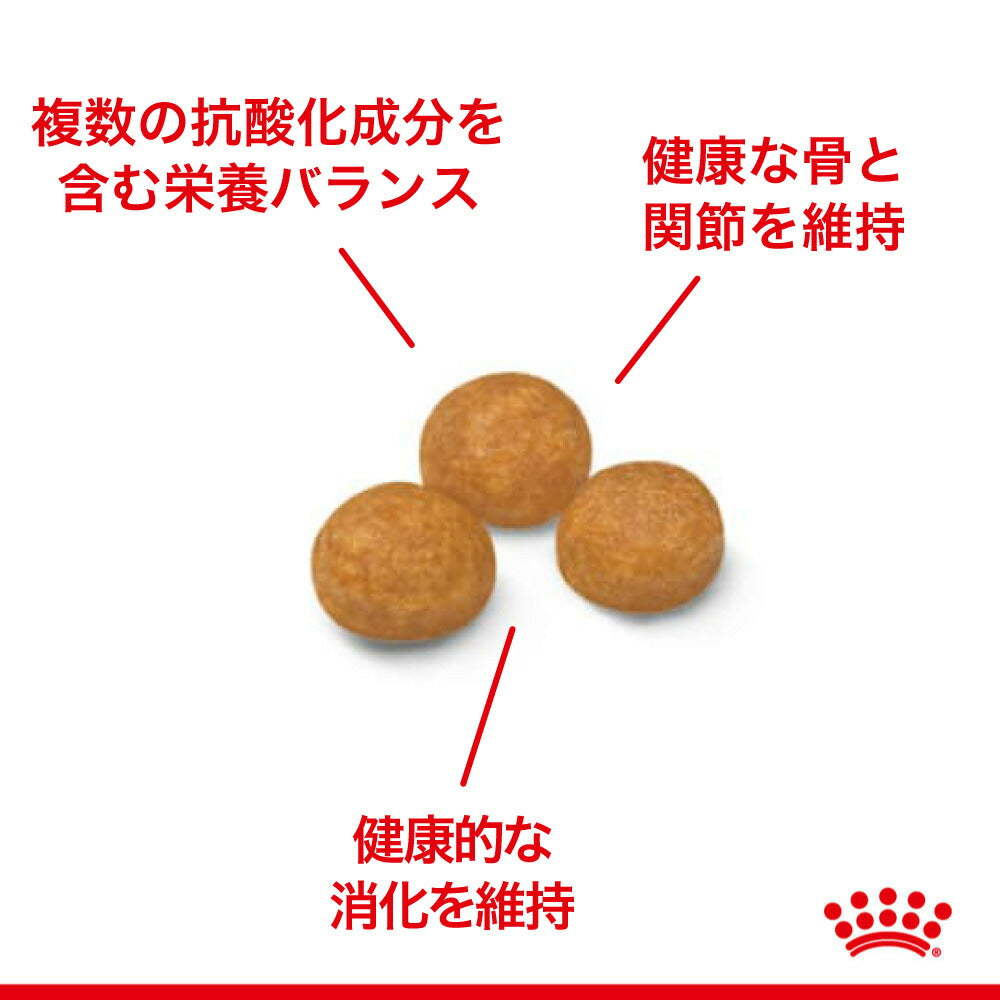 ロイヤルカナン SHN マキシ アダルト 5＋ 大型犬 中・高齢犬用 5歳以上 15kg (犬・ドッグ)[正規品]