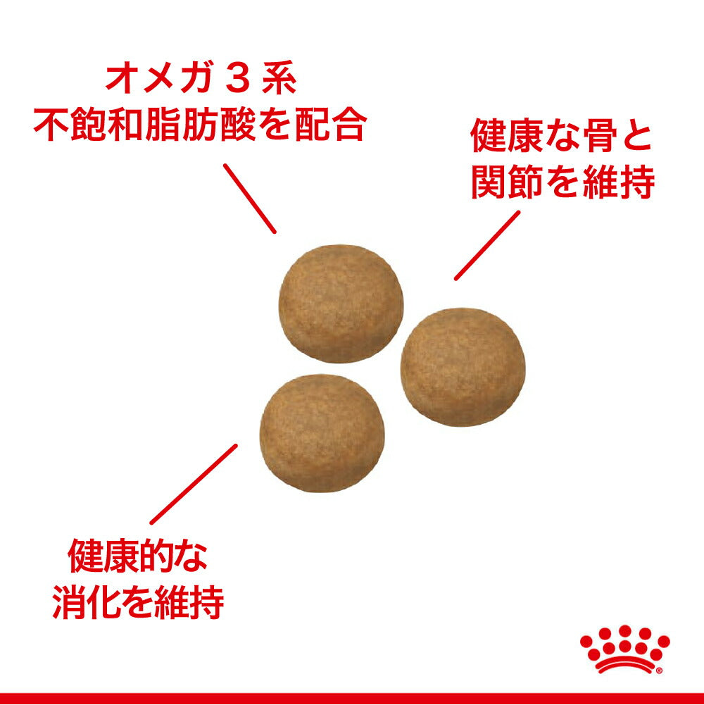 【10kg×2袋】ロイヤルカナン SHN マキシ アダルト 大型犬 成犬用 生後15ヵ月齢以上 (犬・ドッグ)[正規品]