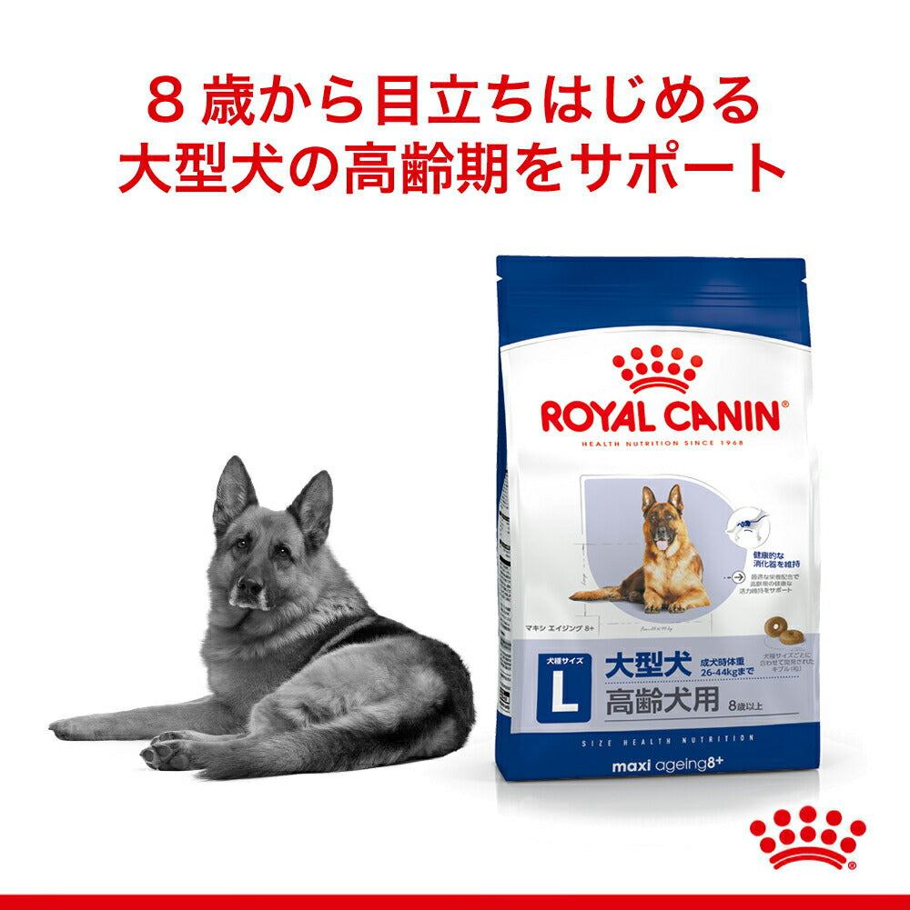 ロイヤルカナン SHN マキシ エイジング 8＋ 大型犬 高齢犬用 8歳以上 15kg (犬・ドッグ)[正規品]