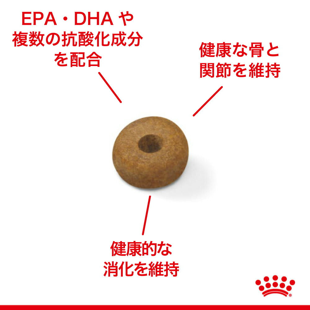 ロイヤルカナン SHN マキシ エイジング 8＋ 大型犬 高齢犬用 8歳以上 15kg (犬・ドッグ)[正規品]