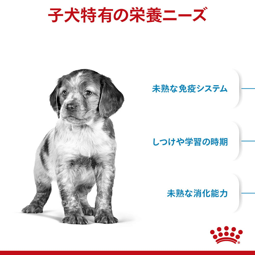 【4kg×2袋】ロイヤルカナン SHN ミディアム パピー 中型犬 成長後期の子犬用 生後12ヶ月齢まで (犬・ドッグ)[正規品]