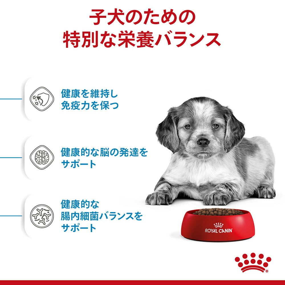 【4kg×3袋】ロイヤルカナン SHN ミディアム パピー 中型犬 成長後期の子犬用 生後12ヶ月齢まで (犬・ドッグ)[正規品]