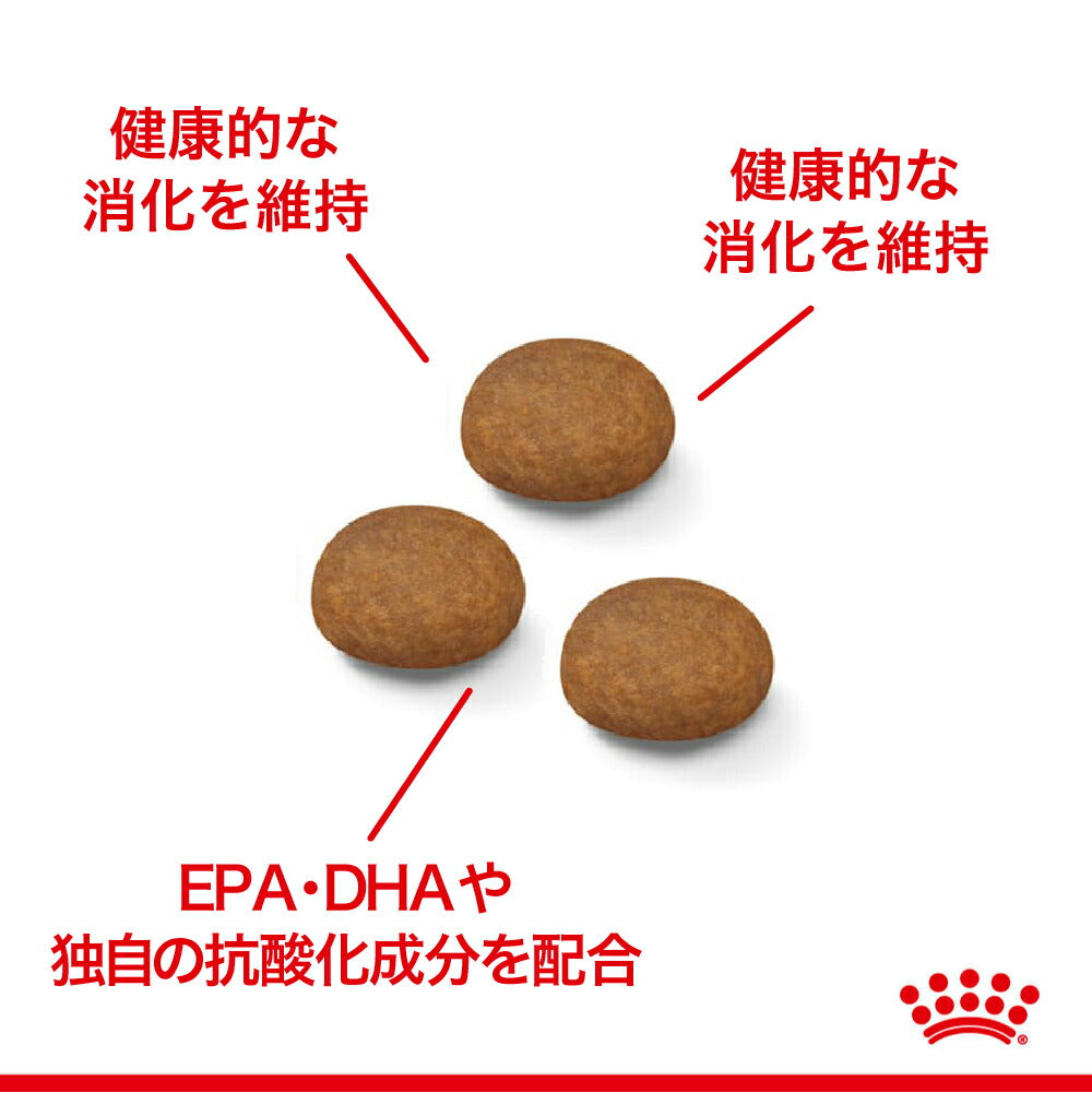 ロイヤルカナン SHN ミディアム アダルト 7＋ 中型犬 中・高齢犬用 7歳以上 4kg (犬・ドッグ)[正規品]