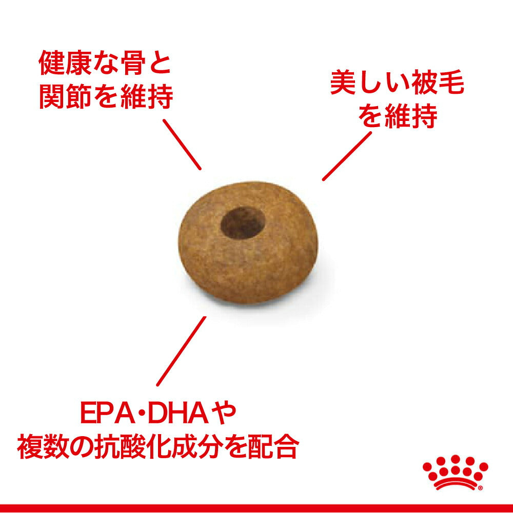 ロイヤルカナン SHN ミディアム エイジング 10＋ 中型犬 高齢犬用 10歳以上 15kg (犬・ドッグ)[正規品]