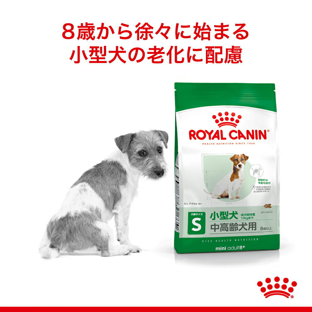 【2kg×2袋】ロイヤルカナン SHN ミニ アダルト 8+ 小型犬 中・高齢犬用 8歳以上 (犬・ドッグ)[正規品]