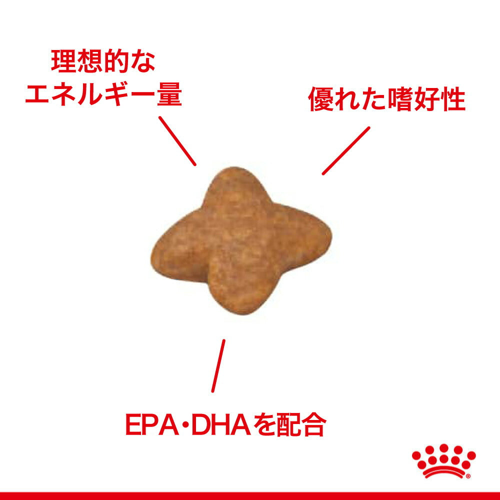 ロイヤルカナン SHN ミニ アダルト 小型犬 成犬用 生後10ヵ月齢以上 2kg (犬・ドッグ)[正規品]